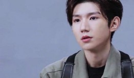 王源近期爆料视频播放,独家爆料视频背后的故事与感悟